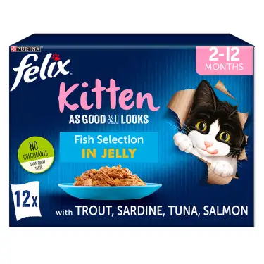 Click Here To Enlarge This Photo Of Felix As Good As It Looks Kitten Wet Cat Food Fish Selection in Jelly 12x100g