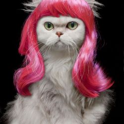 Click Here To Enlarge This Photo Of Ms Scratch